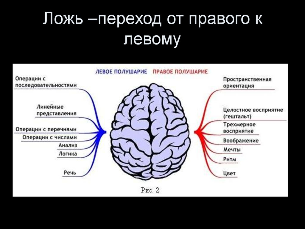 Проанализируйте рисунок 247 учебника какие способности чаще встречаются у левшей а какие у правшей