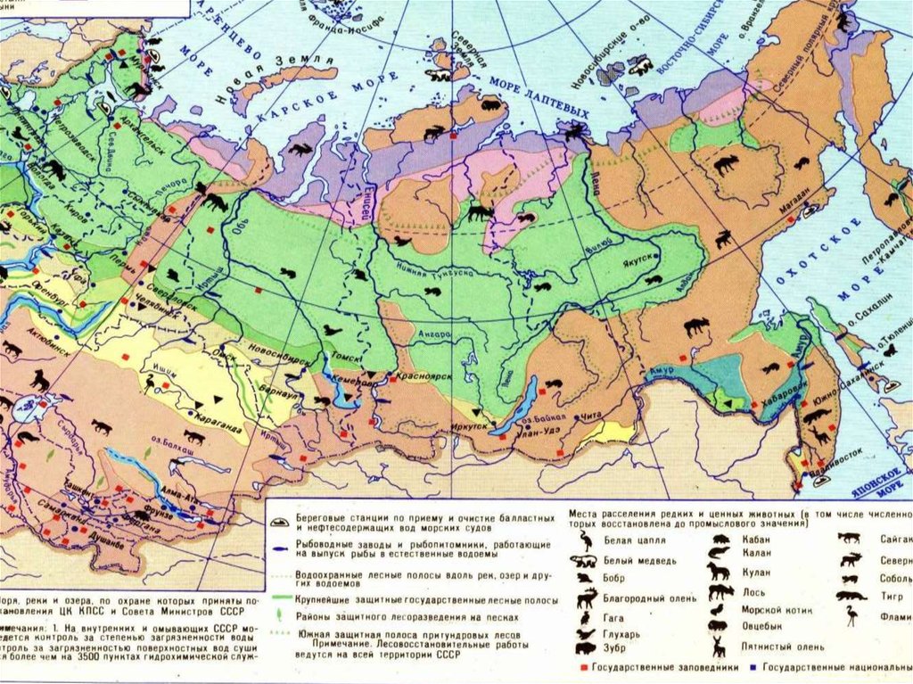 Карта животный мир 8 класс