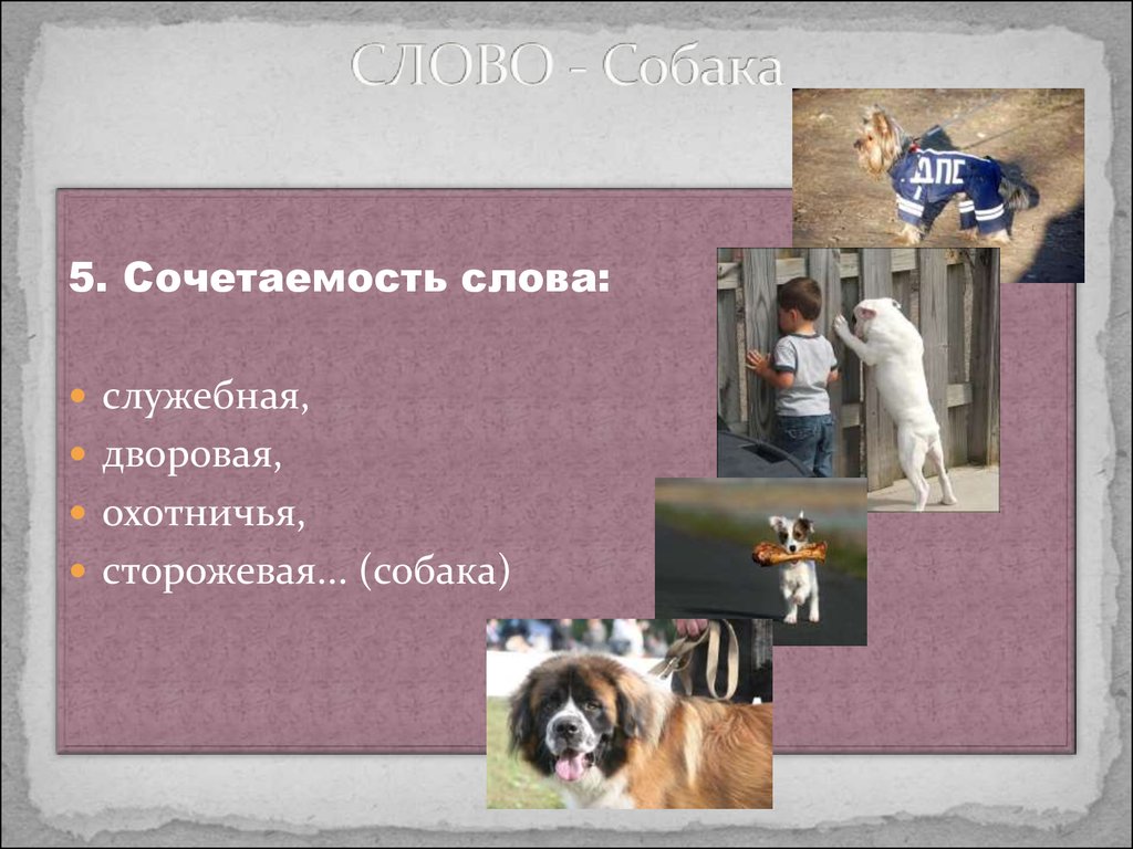 Слово dog