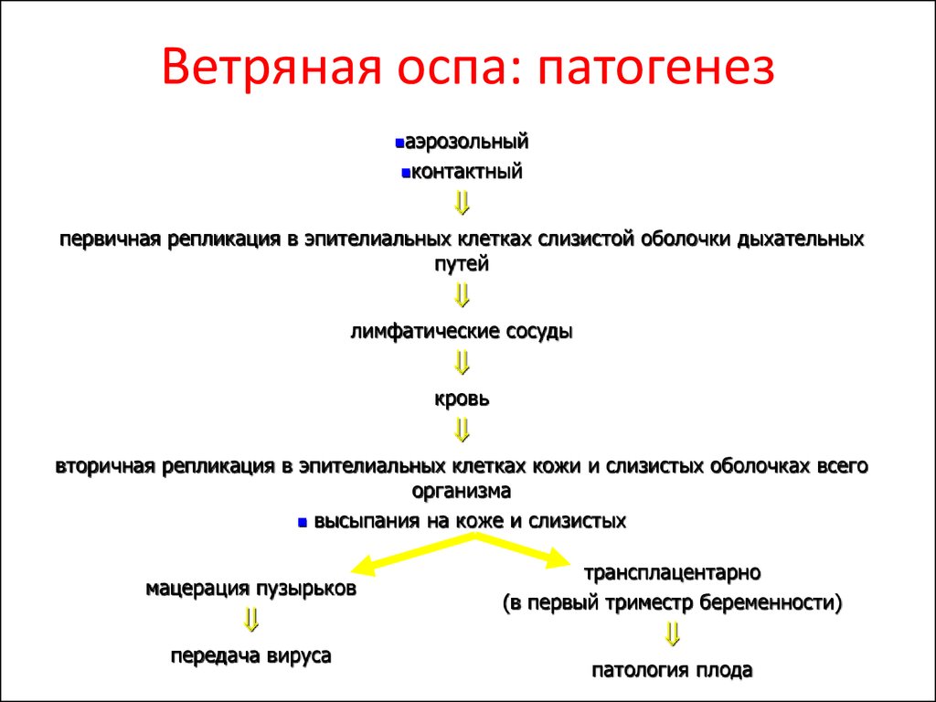 Схема лечения ветрянки - 96 фото