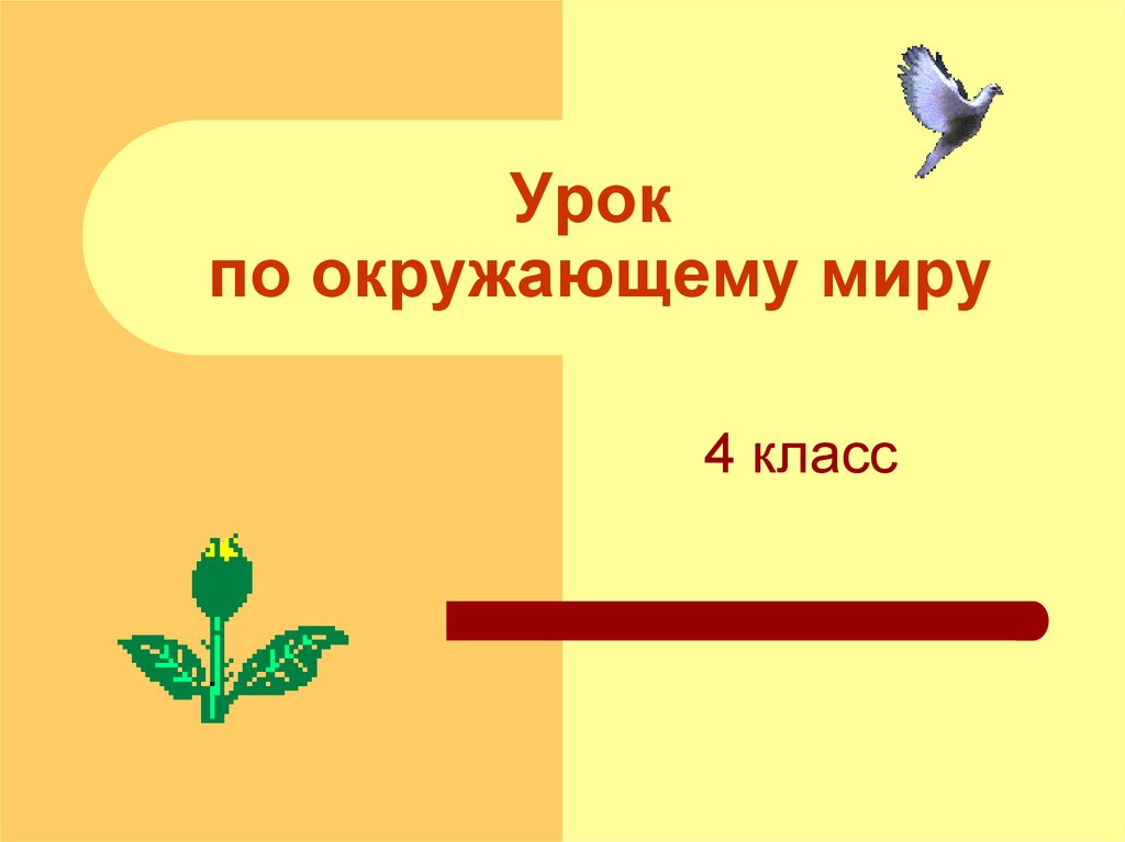 Конспект урока с презентацией по окружающему миру 3 класс