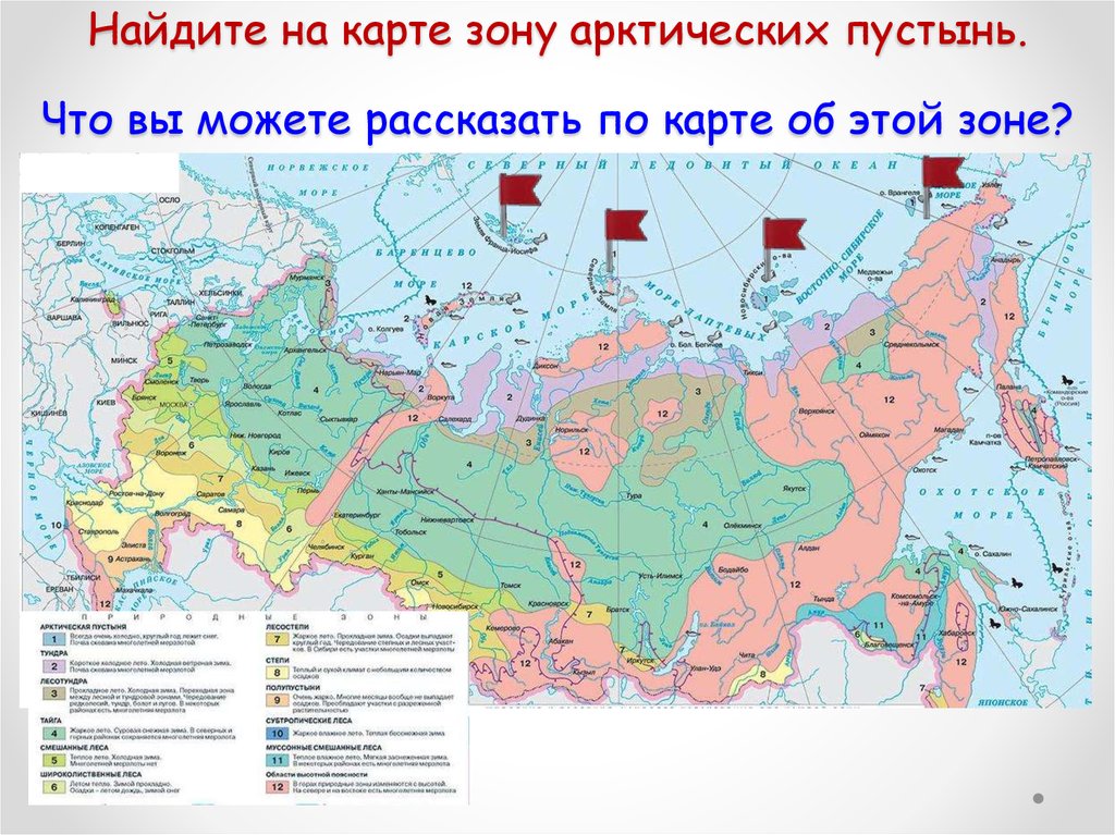 Карта природных зон россии с названиями природных