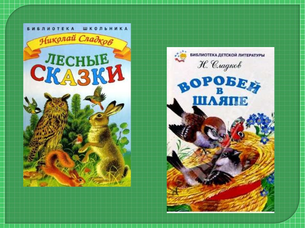 Рассказы н и сладкова лес не школа а всему учит презентация