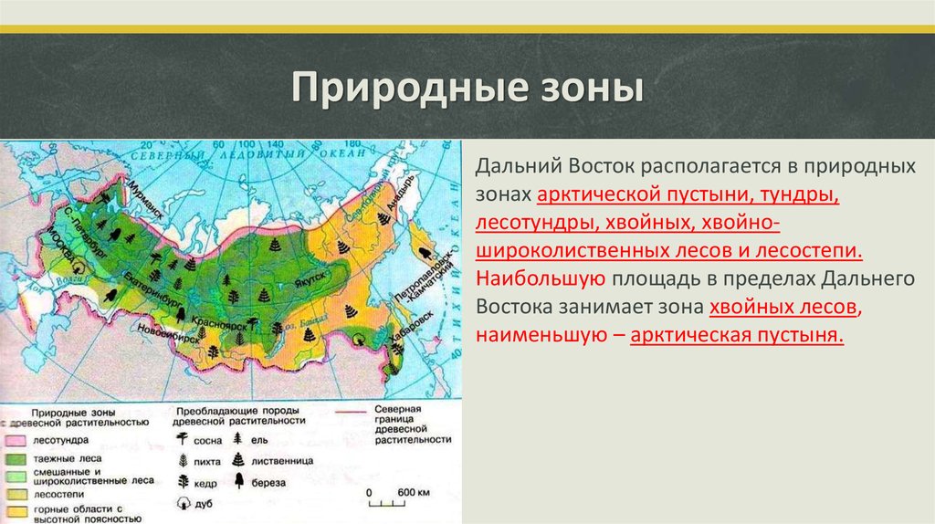 Почему рисунок называется природно хозяйственные зоны россии