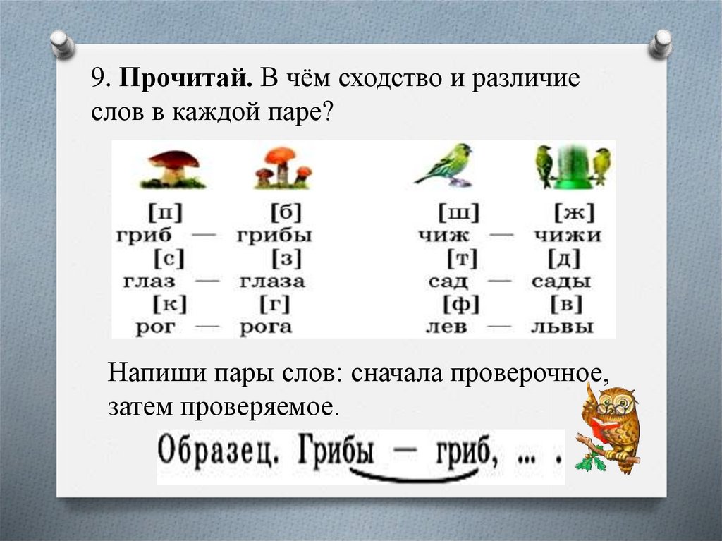 Парные согласные в конце слова 1 класс презентация