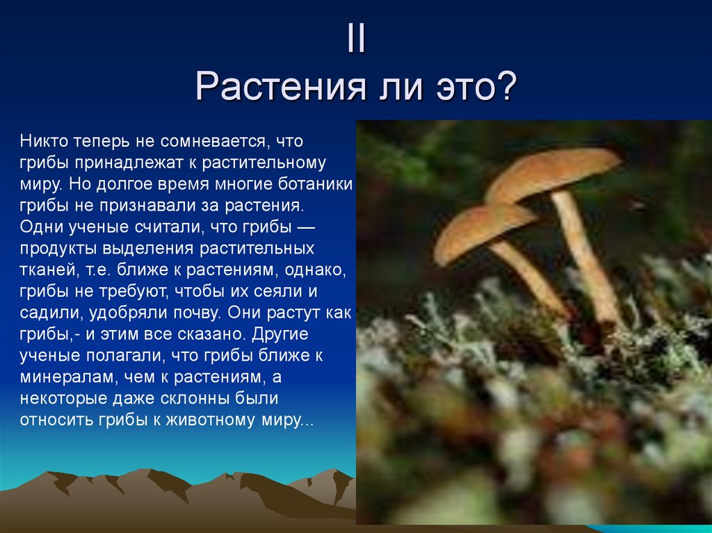 Сообщение о грибах. Сообщение о грибе презентация. Грибы презентация 2 класс. Грибы презентация для детей 1 класса. Где растут грибы для доклада.