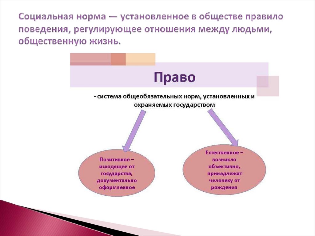 Запишите слово пропущенное в схеме правила поведения которые устанавливаются в обществе