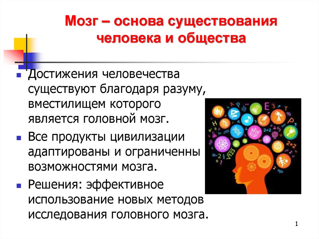 Существования и развития. Основа человеческого существования. Методы изучения работы головного мозга. Основы человеческого бытия. Основы существования общества.