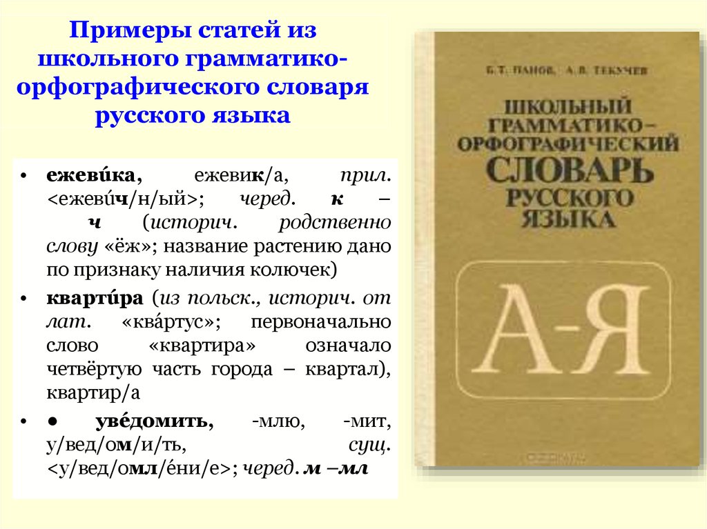 Проект словарь одного слова 6 класс русский язык