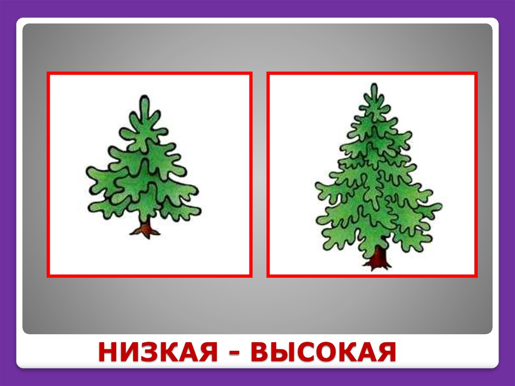 Сравнение по высоте 2 младшая группа. Высокий - низкий. Высокие и низкие предметы. Высокий низкий для детей. Высокая и низкая елочка для детей.