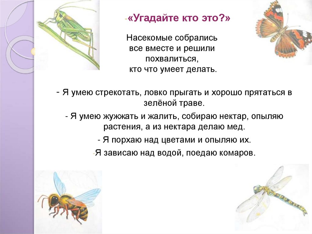 Предложение со словом пчела. Задачи по теме насекомые. Насекомые логопедические задания. Насекомые и пауки лексическая тема. Лексическая тема насекомые.