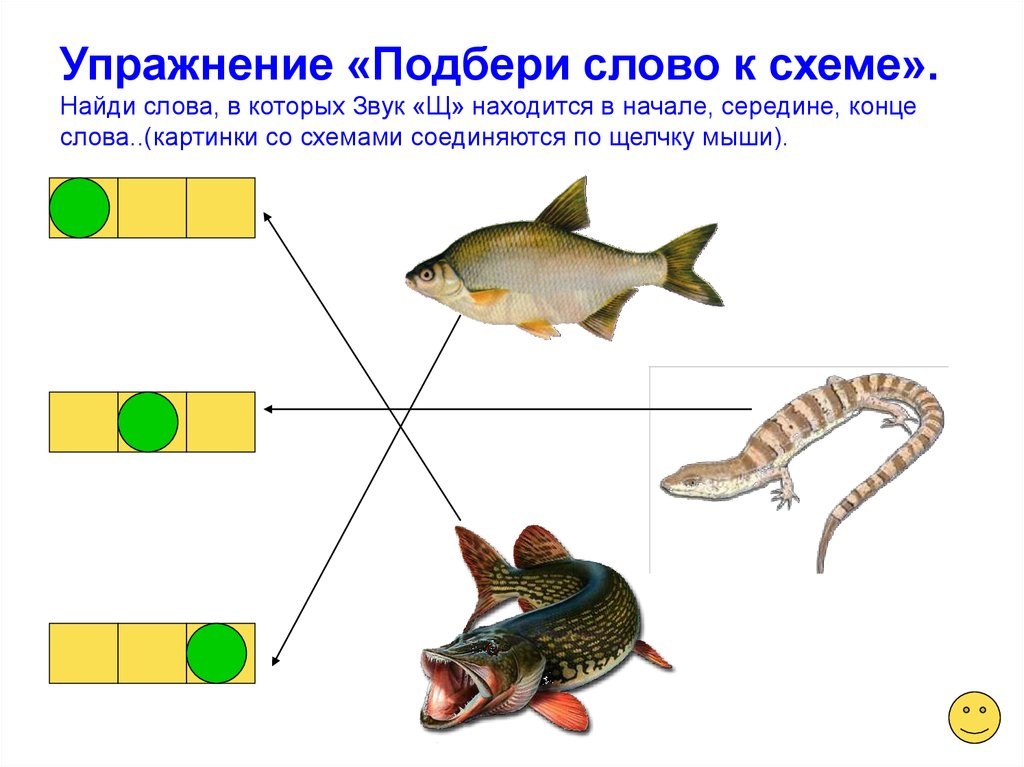 Схема слова кошка