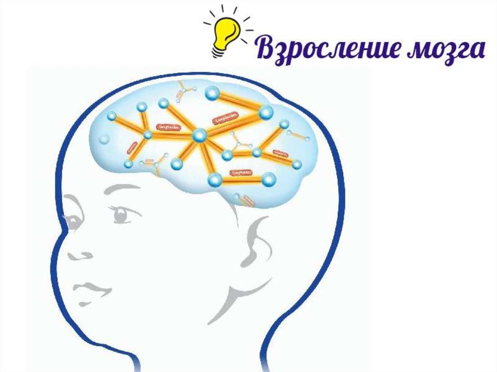 Brain 144. Мозг ребенка. Нейропсихология для детей. Мозг для дошкольников. Нейропсихология мозг.