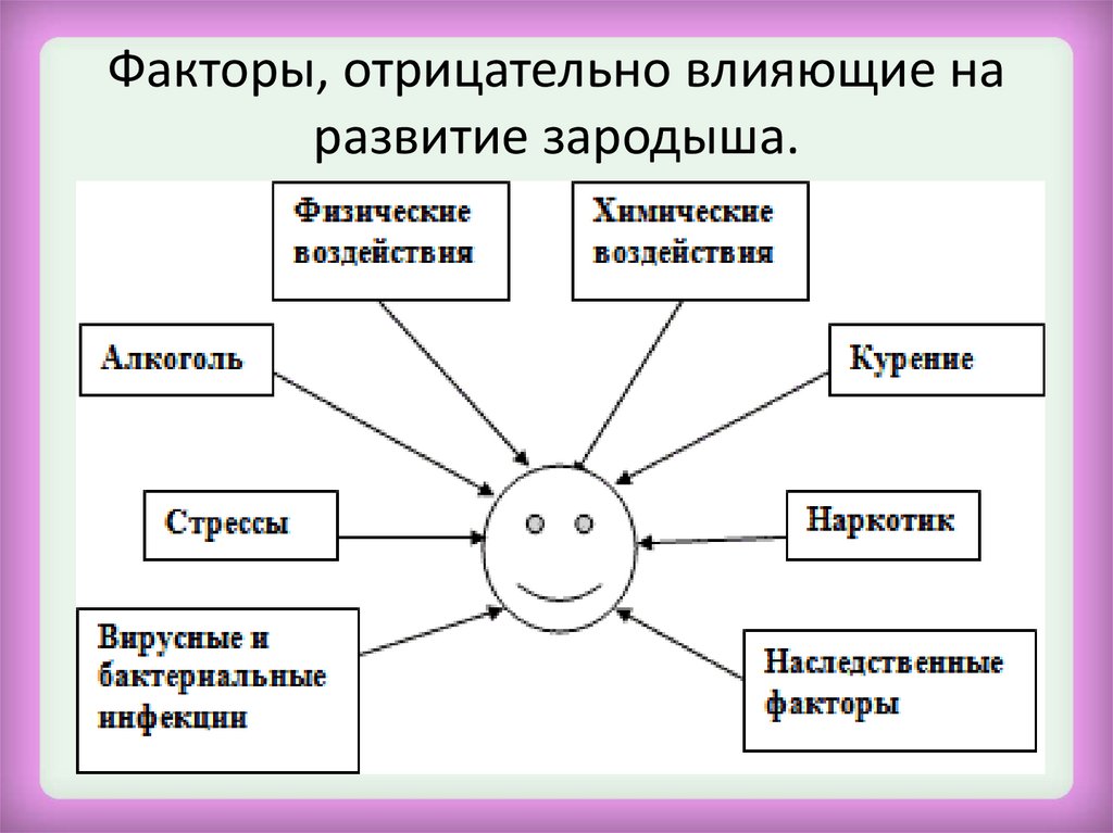 Факторов оказывающих влияние на формирование. Факторы влияющие на развитие зародыша. Факторы влияющие на развитие плода. Факторы влияющие на внутриутробное развитие. Факторы негативно влияющие на развитие эмбриона.