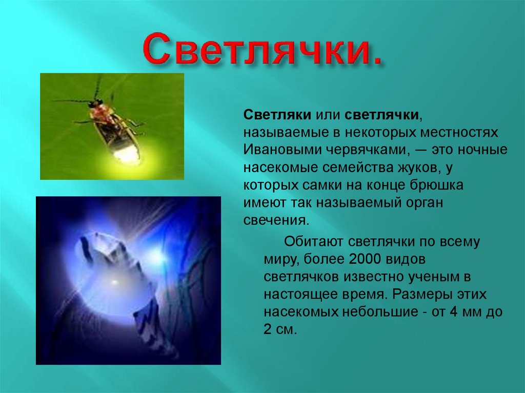 Придумай фантастическую историю про старый телевизор у которого пропал звук но осталось изображение