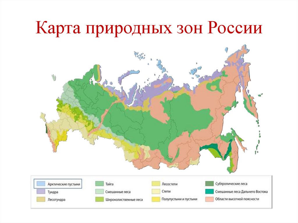 Покажи на карте зону. Карта природных зон России субтропики.