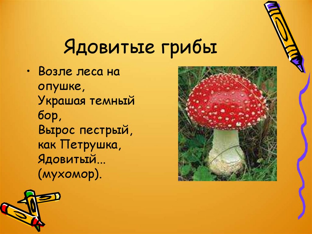 Презентация грибы. Грибы презентация. Мухомор для детей. Презентация грибы для малышей. Презентация грибы для дошкольников.