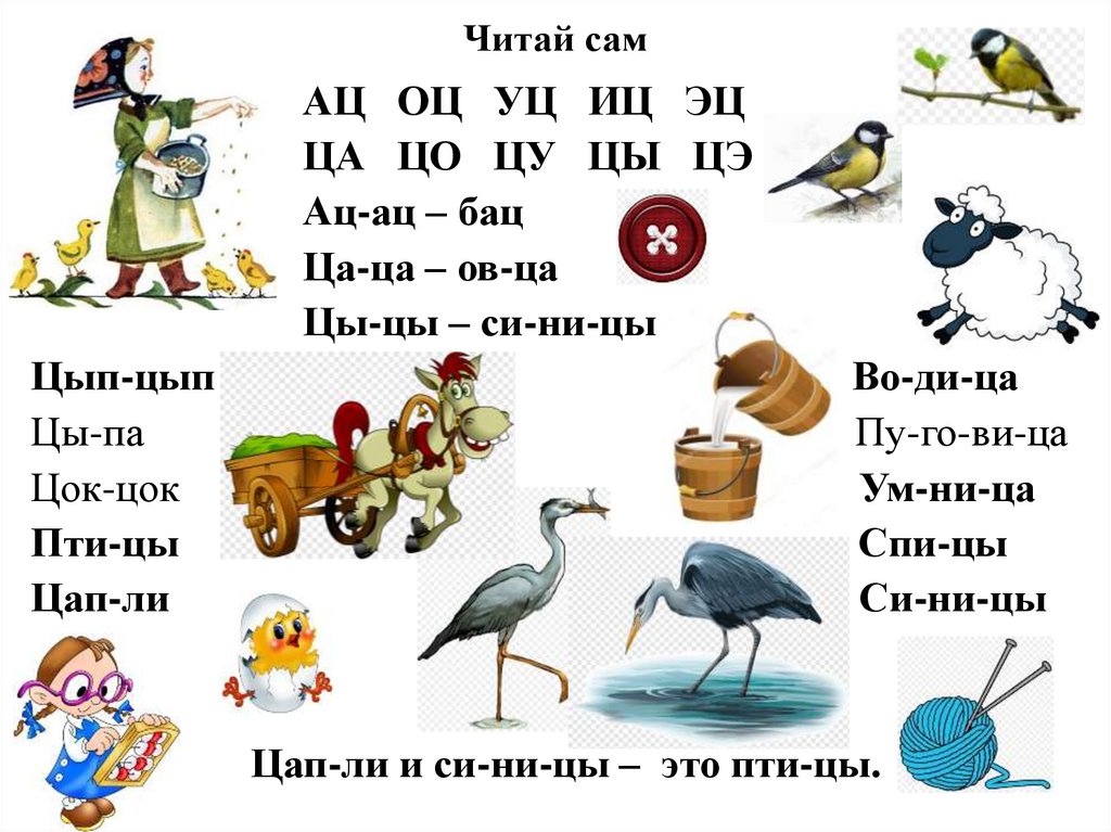 Предложение ч