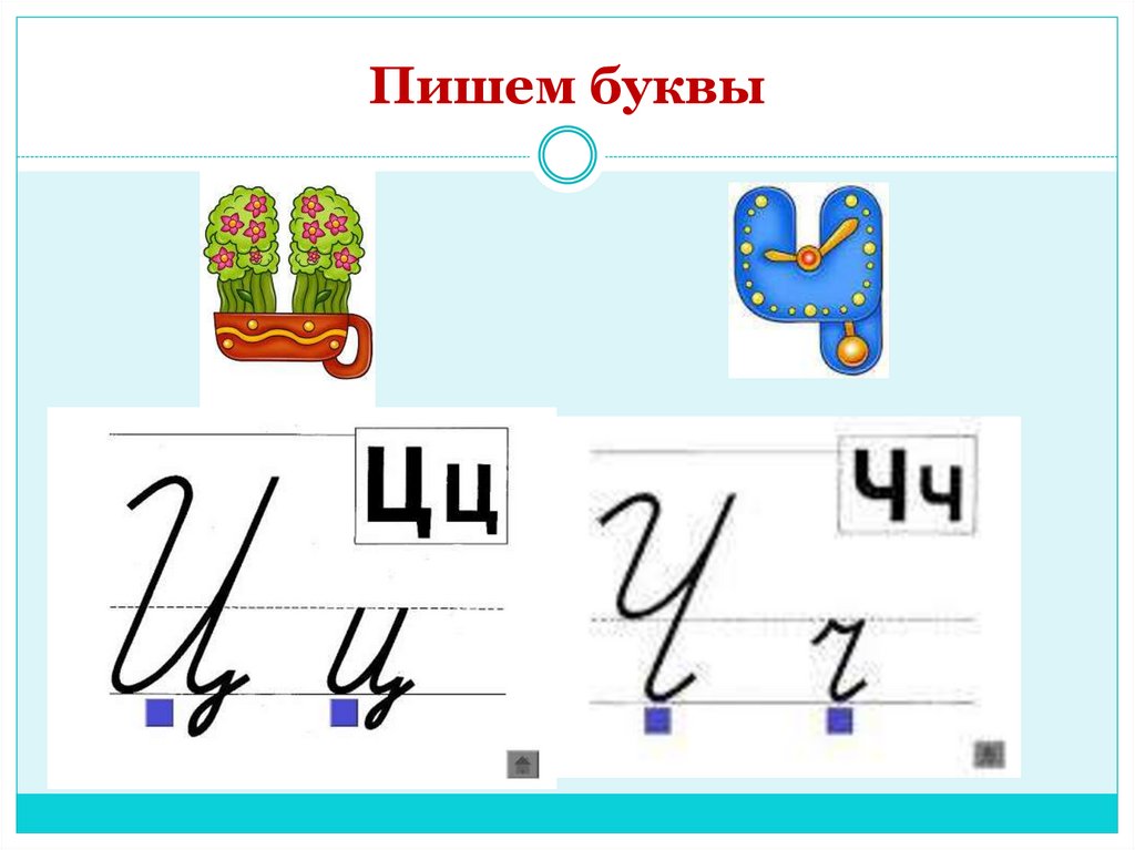 Как писать м. Написание буквы ц. Буква ц письменная. Как писать букву ц. Буква ц и ч.