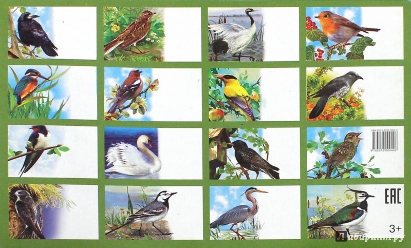 Перелетные птицы картинки для детей распечатать. Игра лото перелетные птицы. Перелётные птицы России для дошкольников. Обучающие карточки перелетные и зимующие птицы. Карточки перелетные и зимующие птицы для детей.