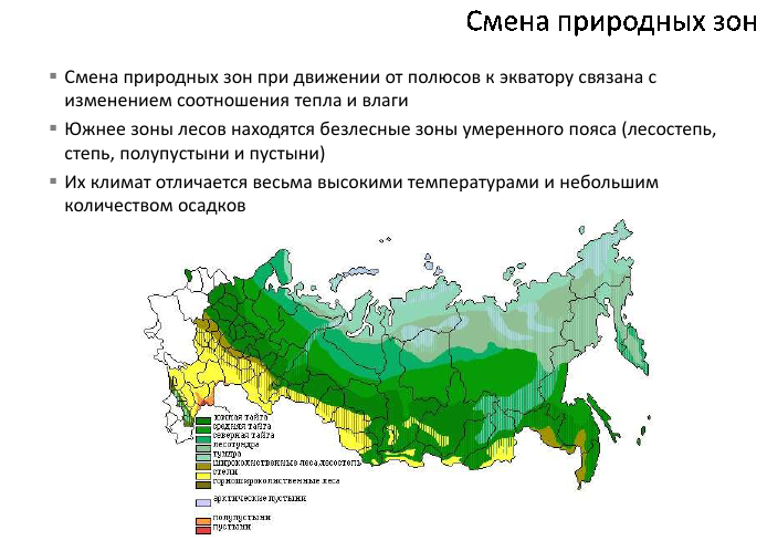 В какой природной зоне расположен челябинская область. Природные зоны и подзоны. Карта природных зон. Лесная зона на карте России. Лесные зоны на карте.