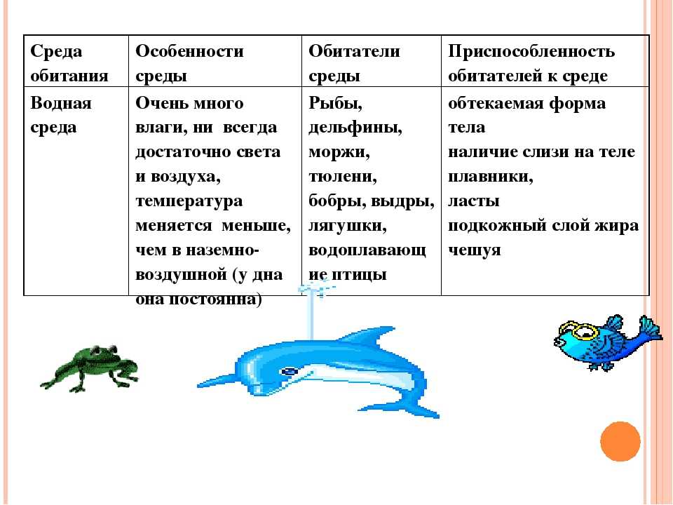 Какая среда жизни характеризуется. Таблица 2 приспособления к среде обитания. Обитатели водной среды названия. Особенности водных организмов. Водная среда обитания примеры.
