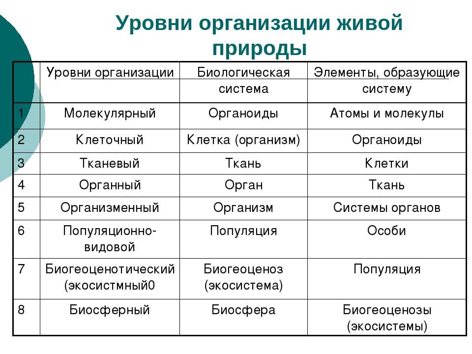 Представлены изображения необходимо выделить главное ключевые слова отражающие