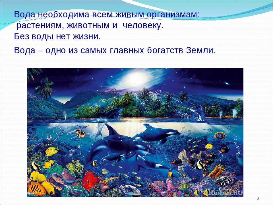 Проект на тему 2 класс