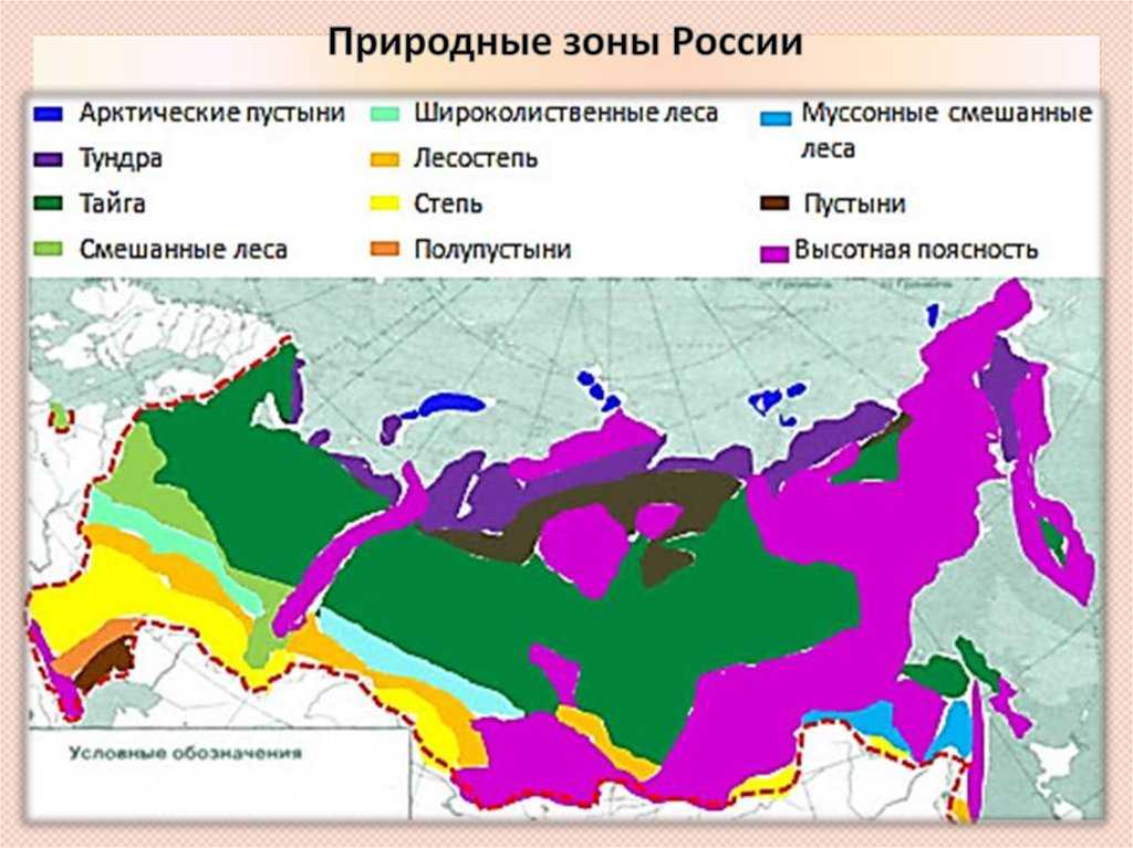 Карта по природным зонам