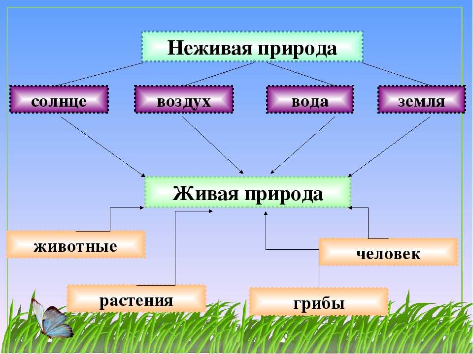 План на урок окружающего мира