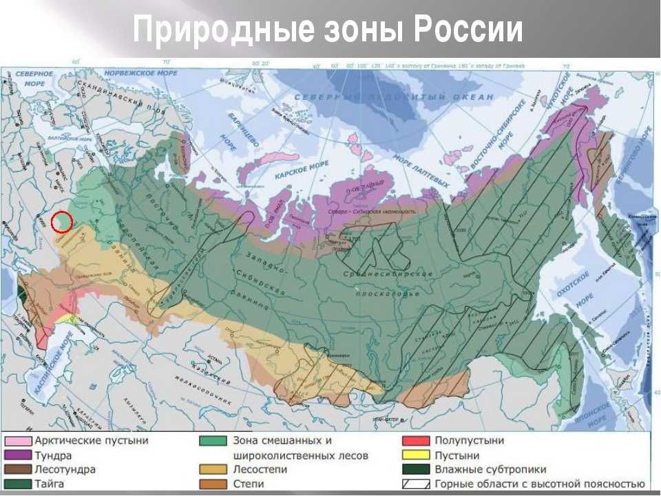 Где на карте субтропики