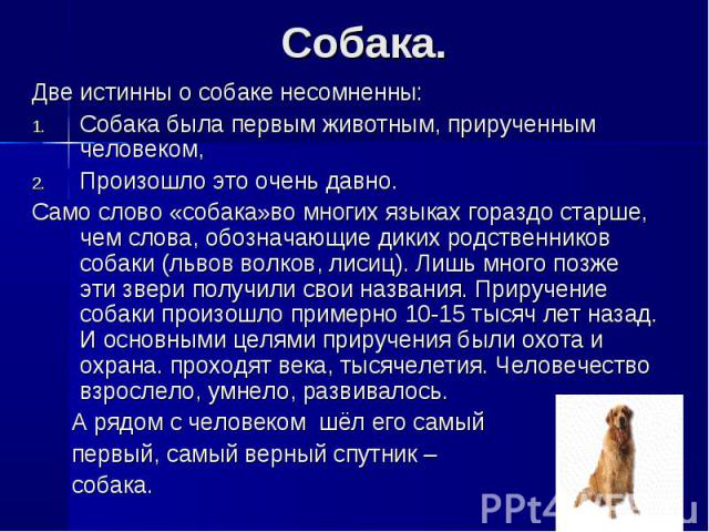 Текст собаки написал