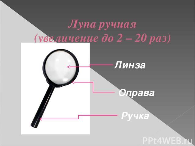 Что является основной частью лупы обеспечивающей увеличение изображения ответ