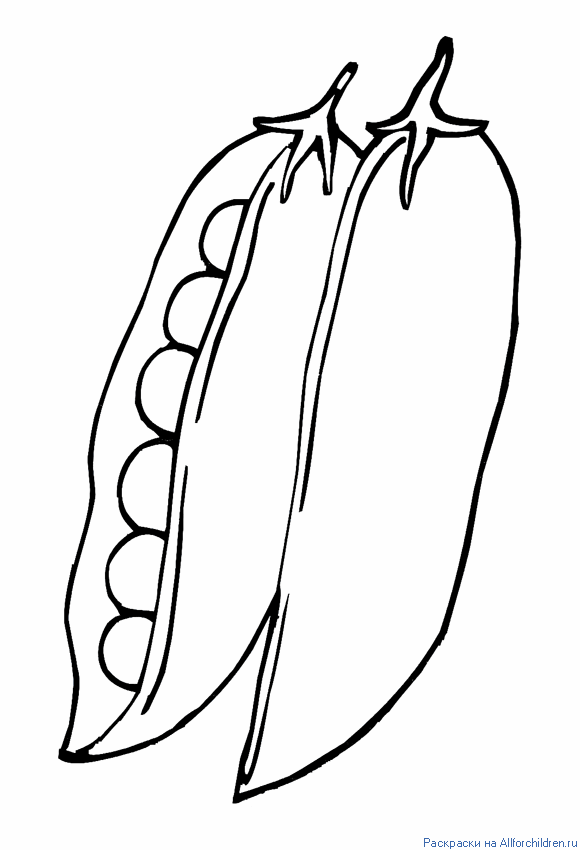 Горох легких. Горох раскраска. Горошек раскраска. Горох раскраска для детей. Зеленый горошек раскраска.