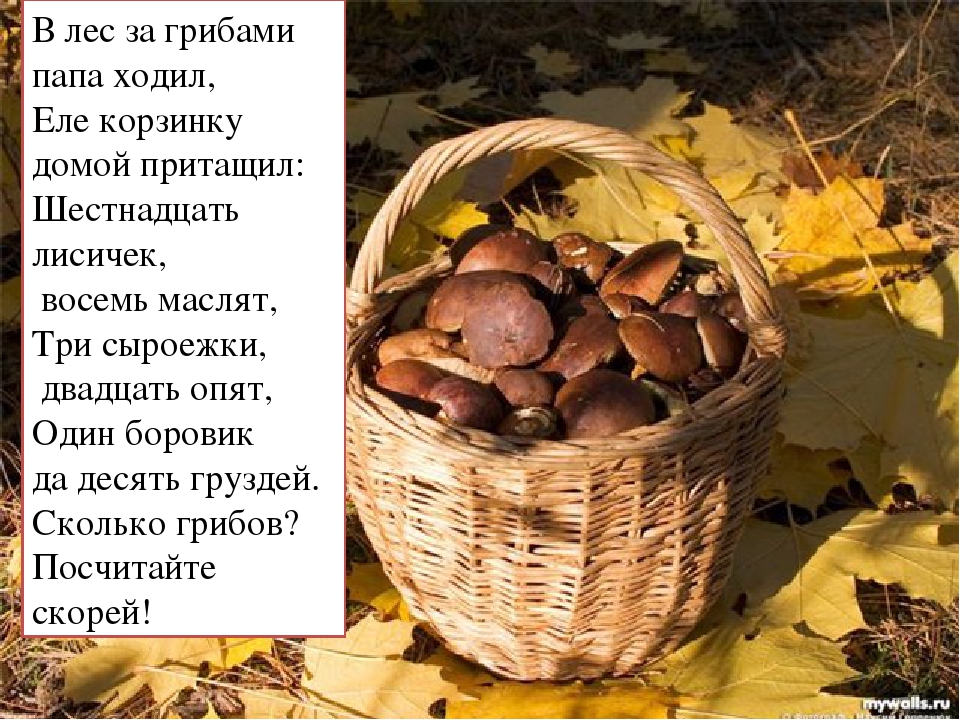 Сочинение по плану в лес за грибами змея страхи оказались напрасными 5 класс