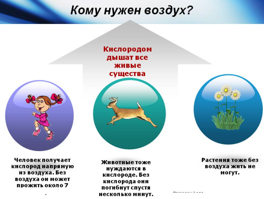 Свойства воздуха презентация для дошкольников