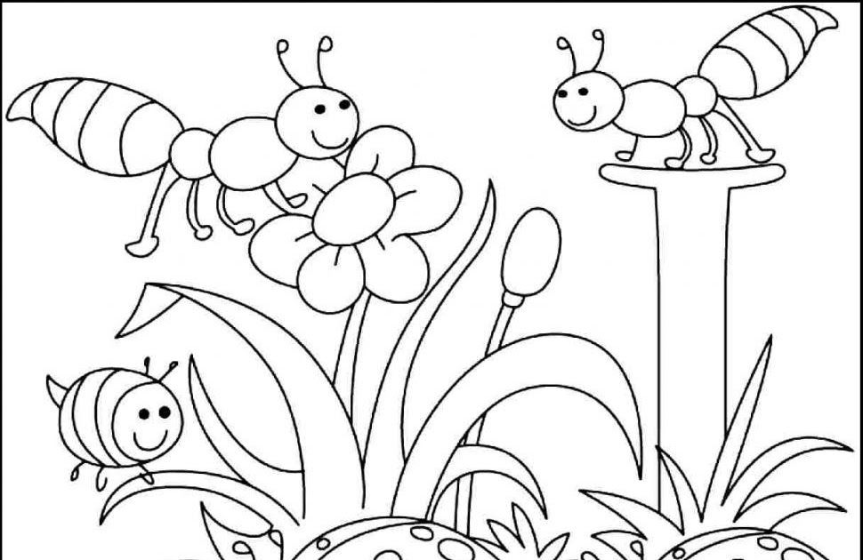 Раскраски насекомые для детей 5 6. Рисунки для раскрашивания красками. Летняя раскраска. Картинки для раскрашивания насекомые. Раскраска. Лето.