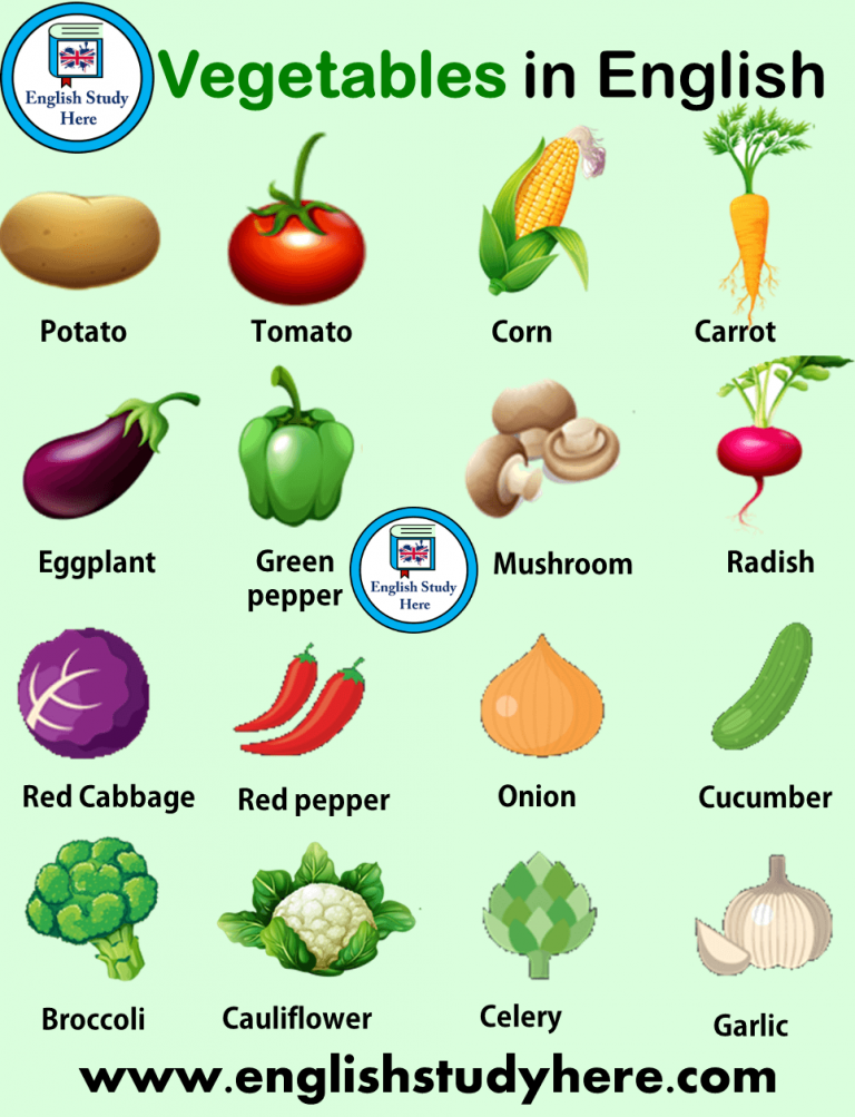 Огурец на английском языке. Vegetables список на английском. Овощи на английском. Овощи in English. Фрукты и овощи на английском.