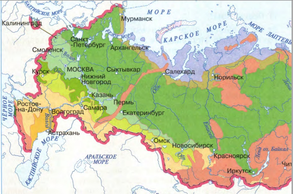 Природные зоны отмеченные на карте. Зона степей на карте России. Лесные зоны на карте. Карта зоны степей на территории России. Полупустыни на карте России.