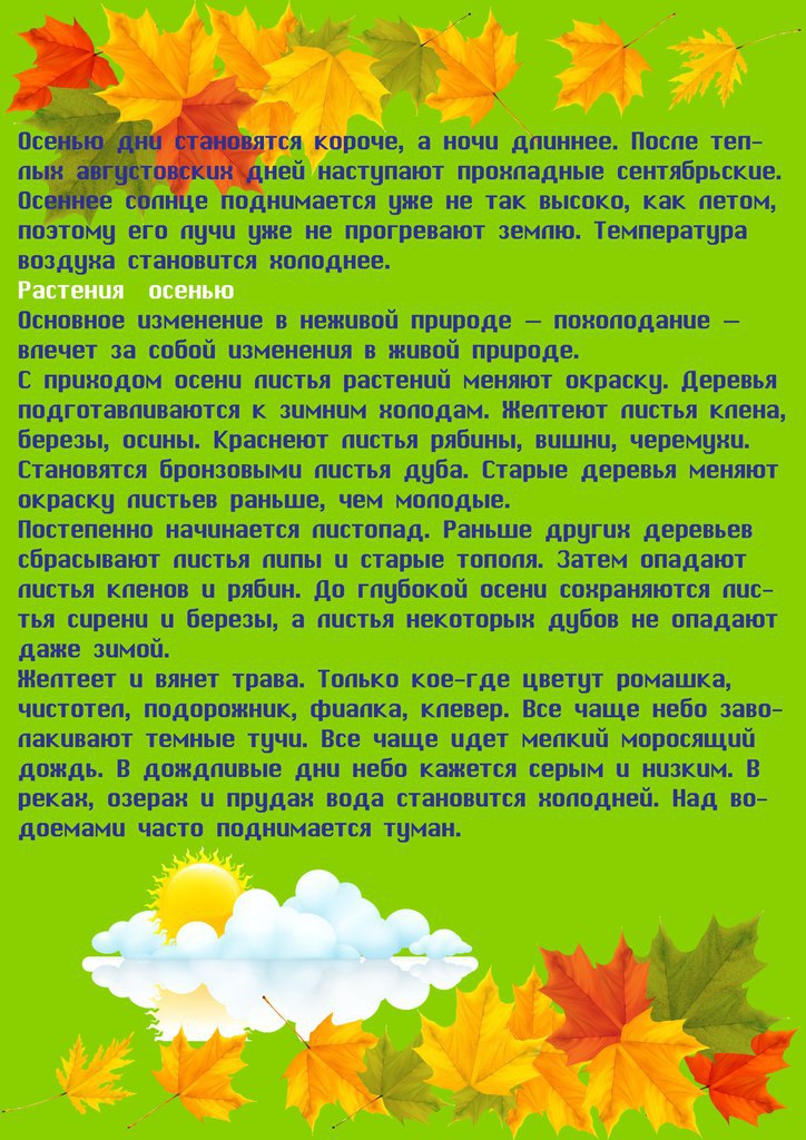 Описание осени в детском саду. Осенние истории для детей в садик. Детский сад рассказ об осени. Осенний рассказ про осень дошколятам. Осень рассказ для детей в детском.