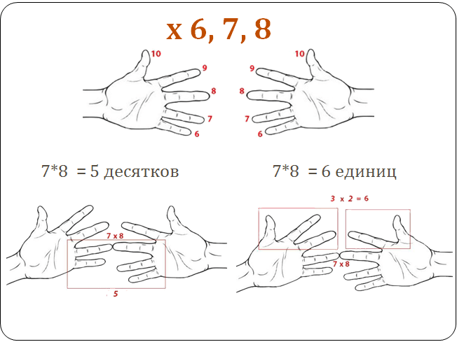 6 7 умножить на 56. Как запомнить таблицу умножения на 7. Таблица умножения на пальцах на 6.7.8.9. Как быстро выучить таблицу умножения на 6. Таблица умножения на 8 на пальцах.