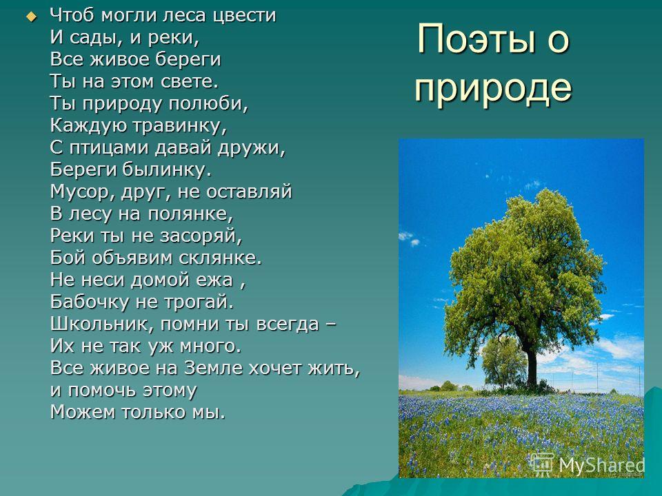 Текст о природе 10 предложений. Стихи о природе. Стих на тему природа. Стихи о природе короткие. Стихи о природе с автором.