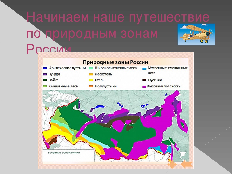 Карта россии природные зоны с названиями зон