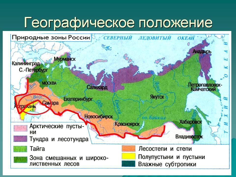 Технологическая карта леса россии 4 класс школа россии