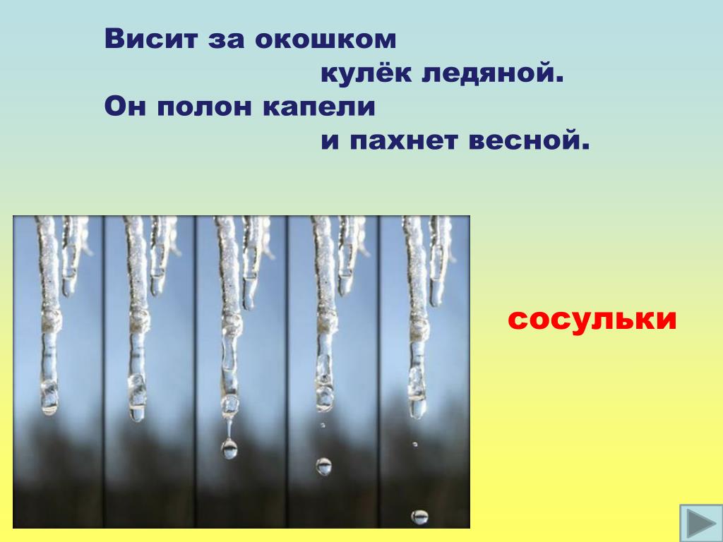 Отгадай загадку висит за окошком кулек. Висит за окошком кулек ледяной он полон капели и пахнет весной. Загадка про сосульку. Загадки про весну про сосульки. Загадка про сосульку для детей.