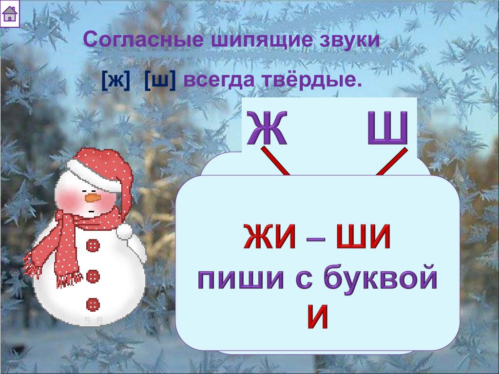 Ж всегда. Звук ж только твердый. Ш всегда твердый. Звуки ж и ш всегда Твердые. Согласные шипящие звуки которые всегда Твердые.