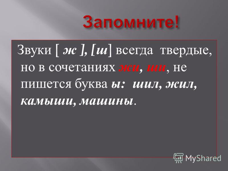 Звук ж всегда. Ы или и. Камыши буква и или ы. Камыши пишет как пишется.