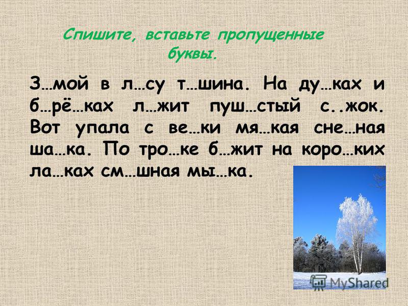 Вставь пропущенные буквы в лесу. Русский язык 4 класс задания. Русский язык 3 класс задания. Задания по русскому языку 3 класс. Задачи по русскому языку 3 класс.