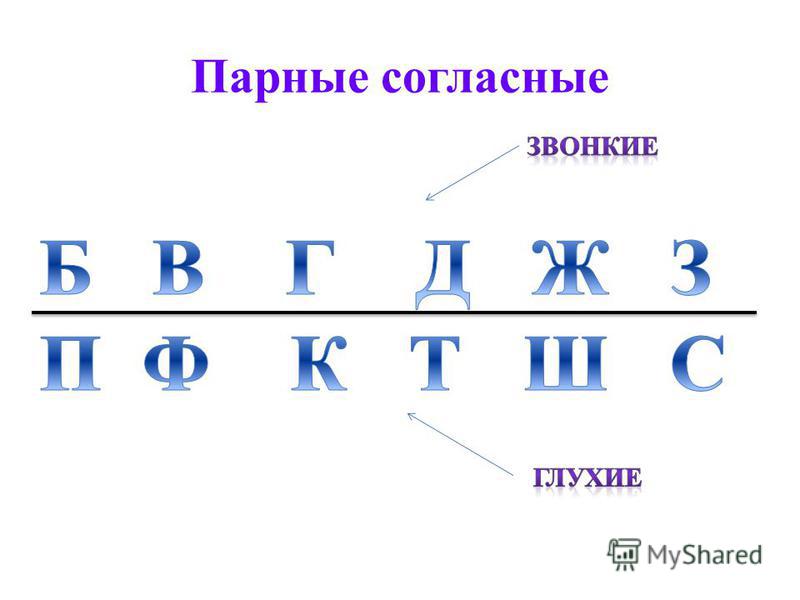 Парная согласная конспект