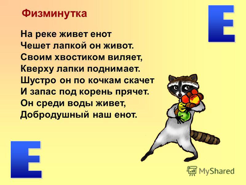 7 букв 4 буква е. Физминутка с буквой е. Физкультминутка с буквой е. Физминутка про енота. Физкультминутка про буквы.